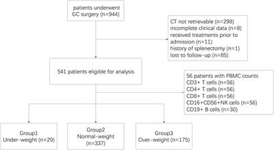 Baseline splenic volume as a biomarker for clinical outcome and circulating lymphocyte count in gastric cancer